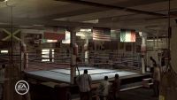 Fight Night: Round 3